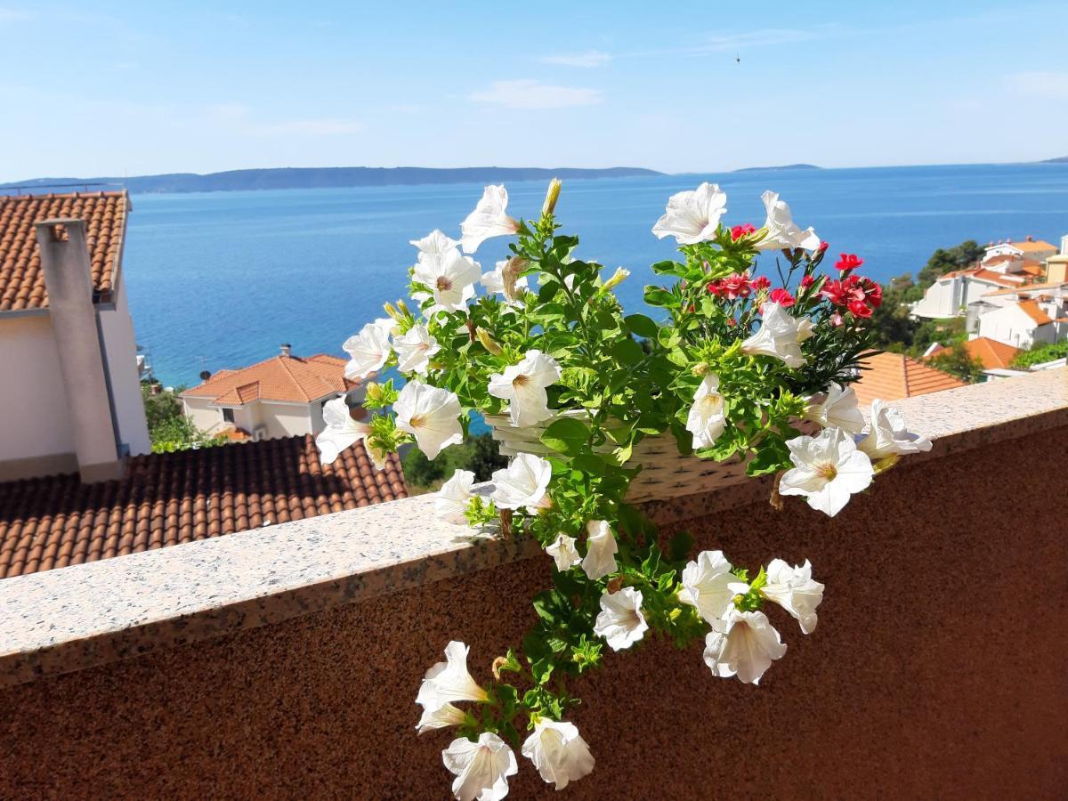 Studio with Sea View and Terrace
