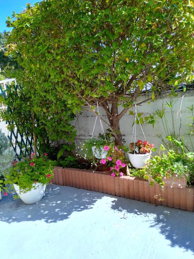 Monolocale Standard