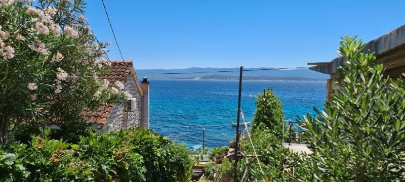 Apartment with Terrace,1081195870:JPEG