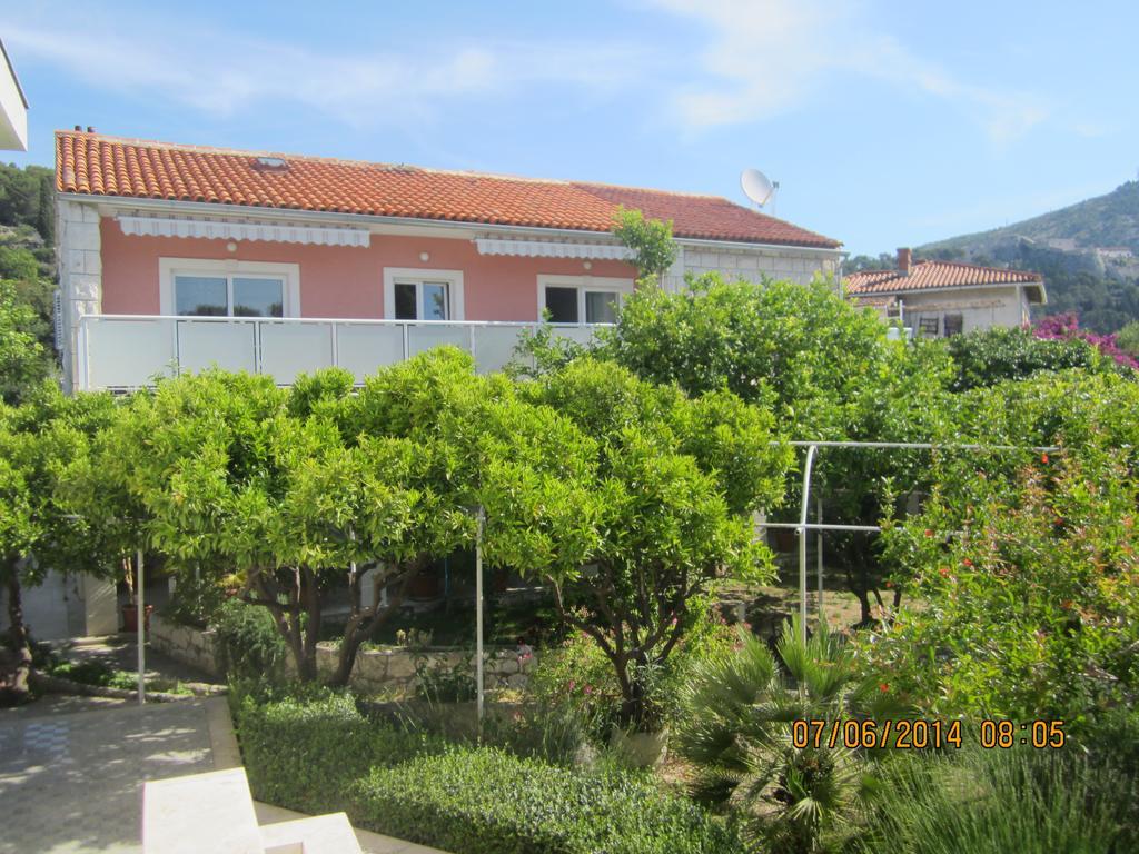 Apartment with Terrace,367490251:JPEG