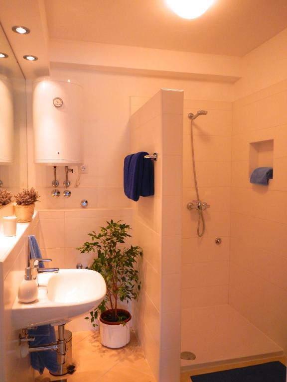 Apartment mit 1 Schlafzimmer