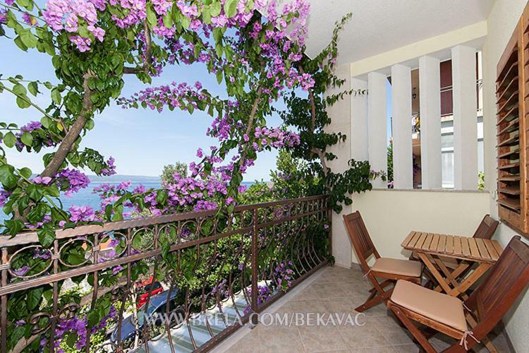 Apartment with Sea View,852065897:JPEG