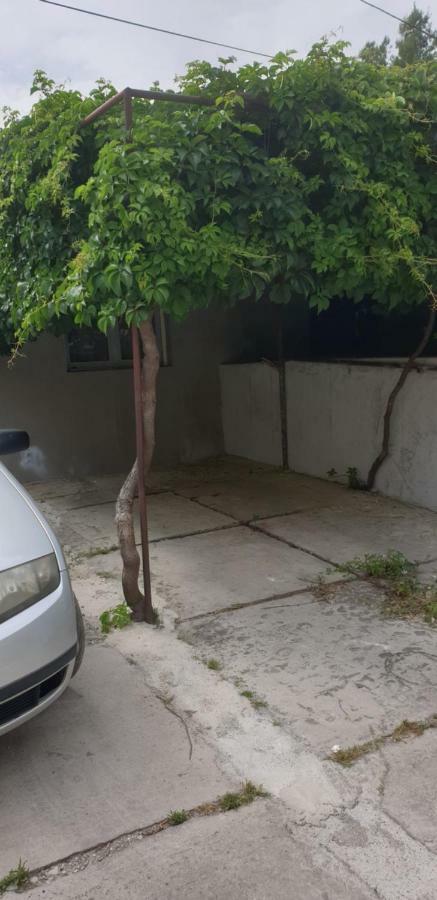 Apartamento - Planta baja