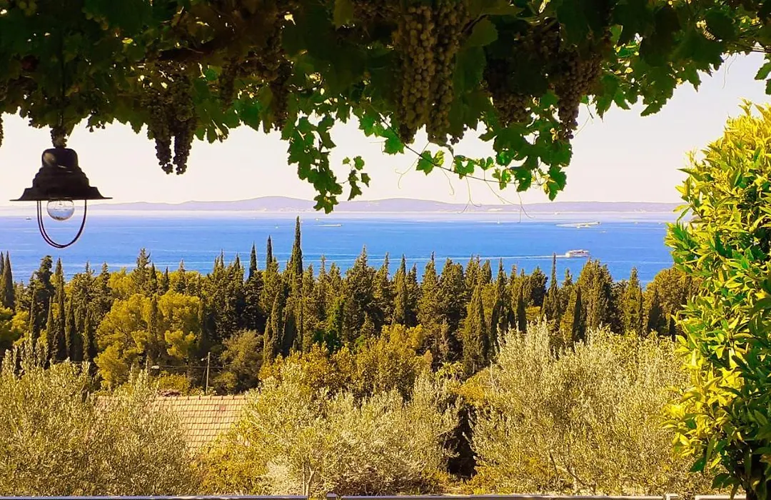 Mediterranean House - Forest Marjan-1