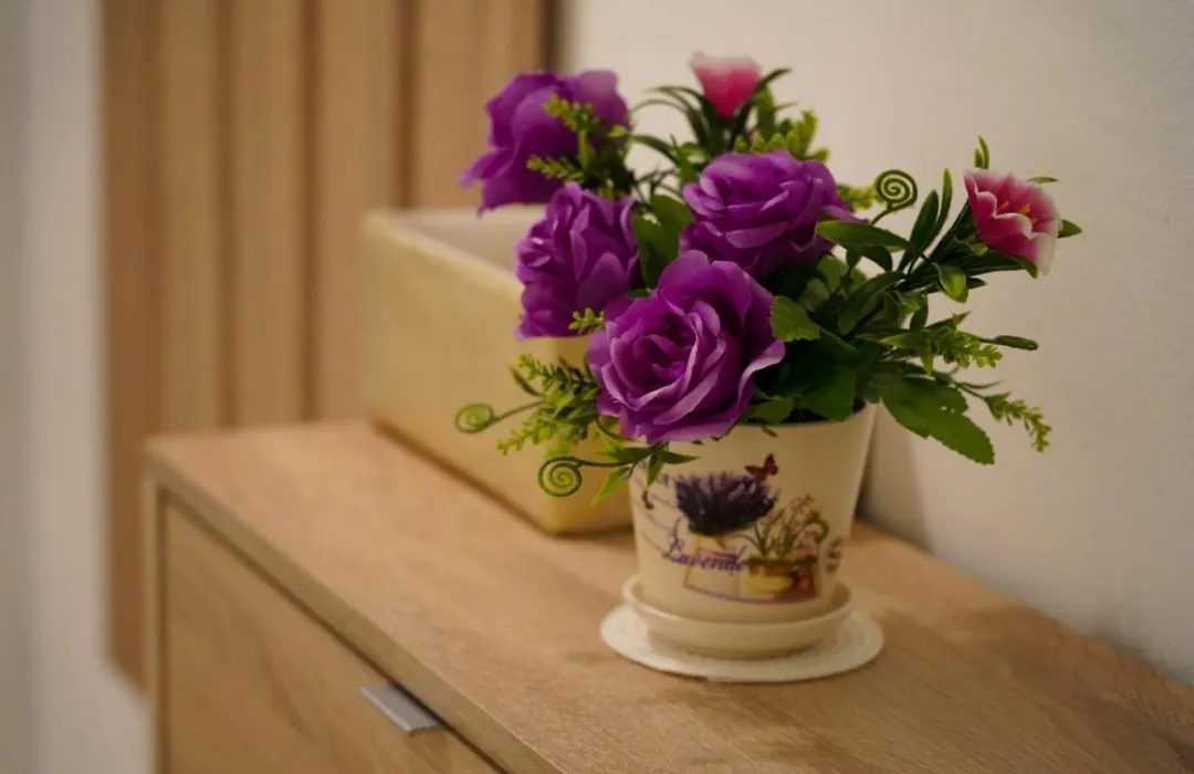 Apartment Lola-1