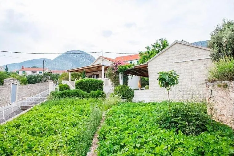 Bungalows Ivan-1