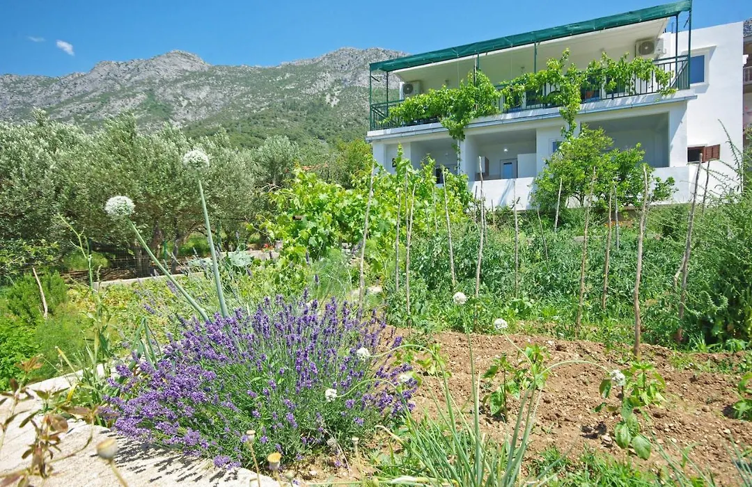 Apartmani Maslina-1