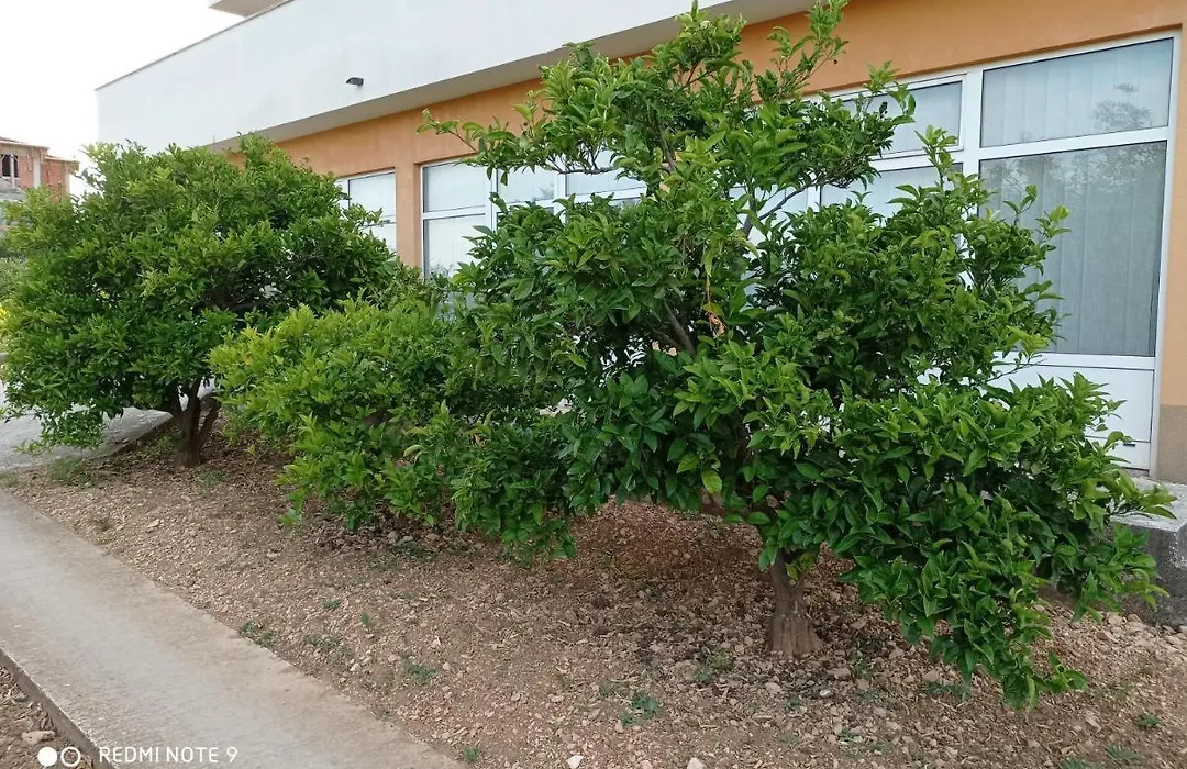 Apartmani Barisic-1