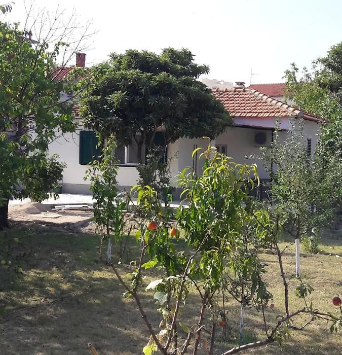 Smokvica-1
