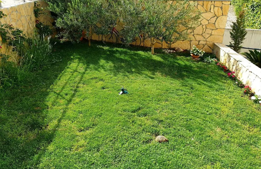 Vila Damir-1