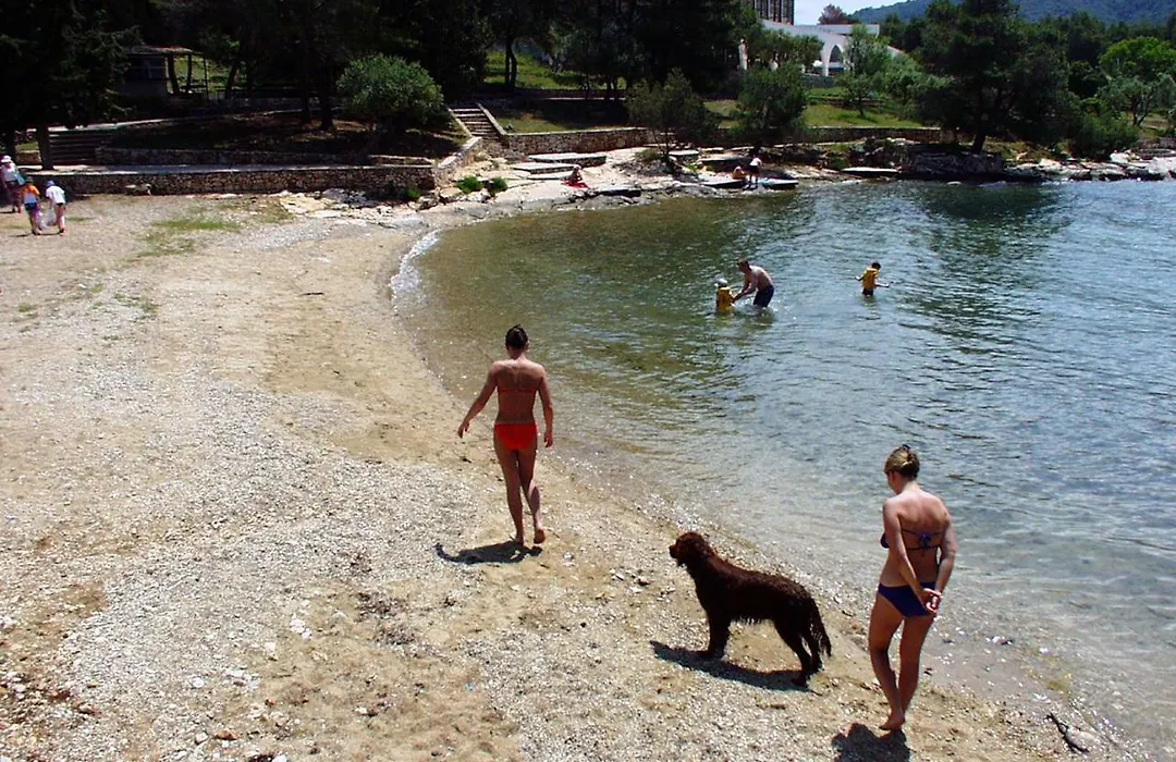Apartments By The Sea Stari Grad, Hvar - 16392-1