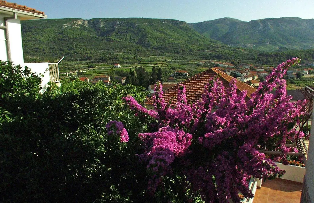 Apartments And Rooms With Parking Space Jelsa, Hvar - 4640-1