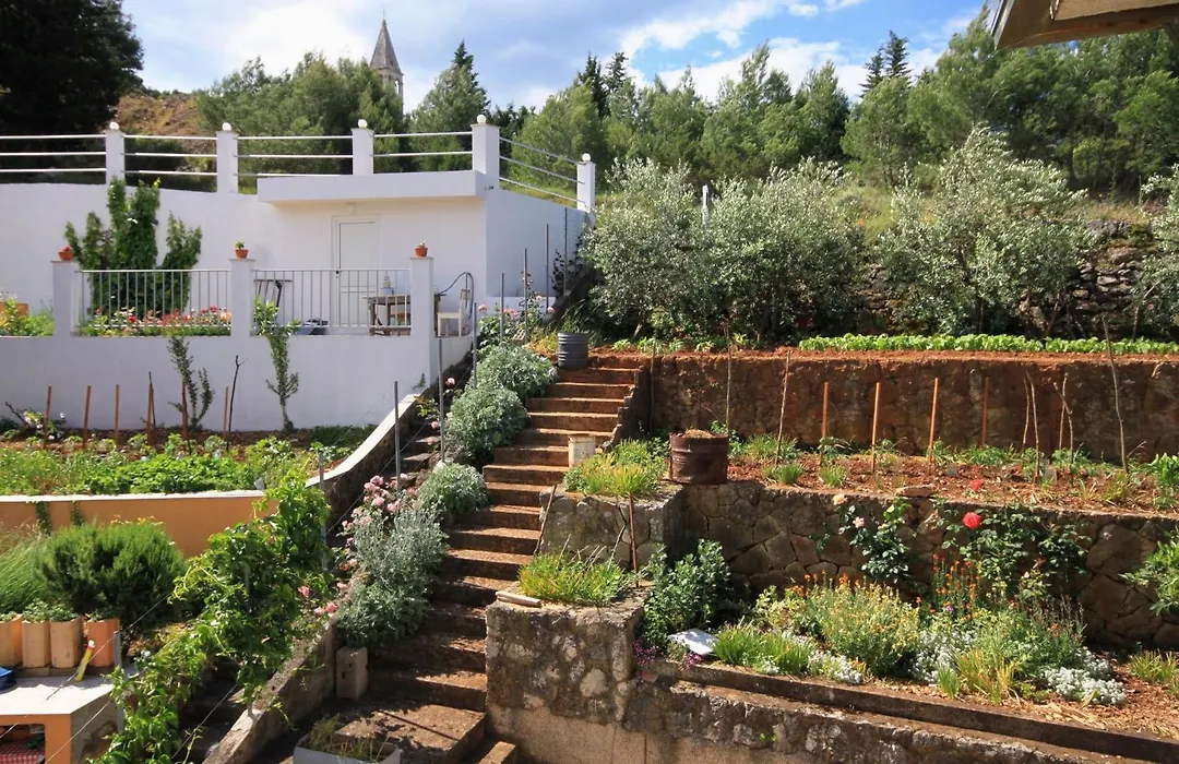 Apartments And Rooms With Parking Space Jelsa, Hvar - 8798-1