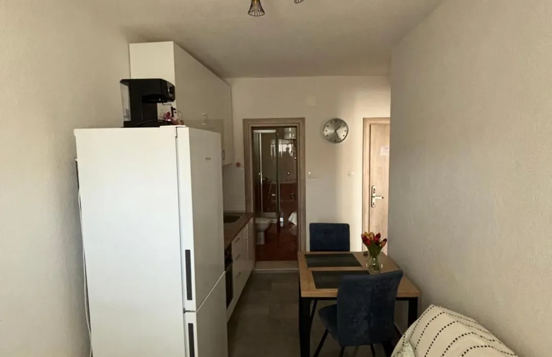 Apartments Petrovic-1