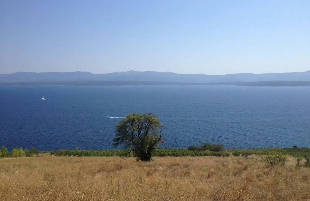 Sea View-1