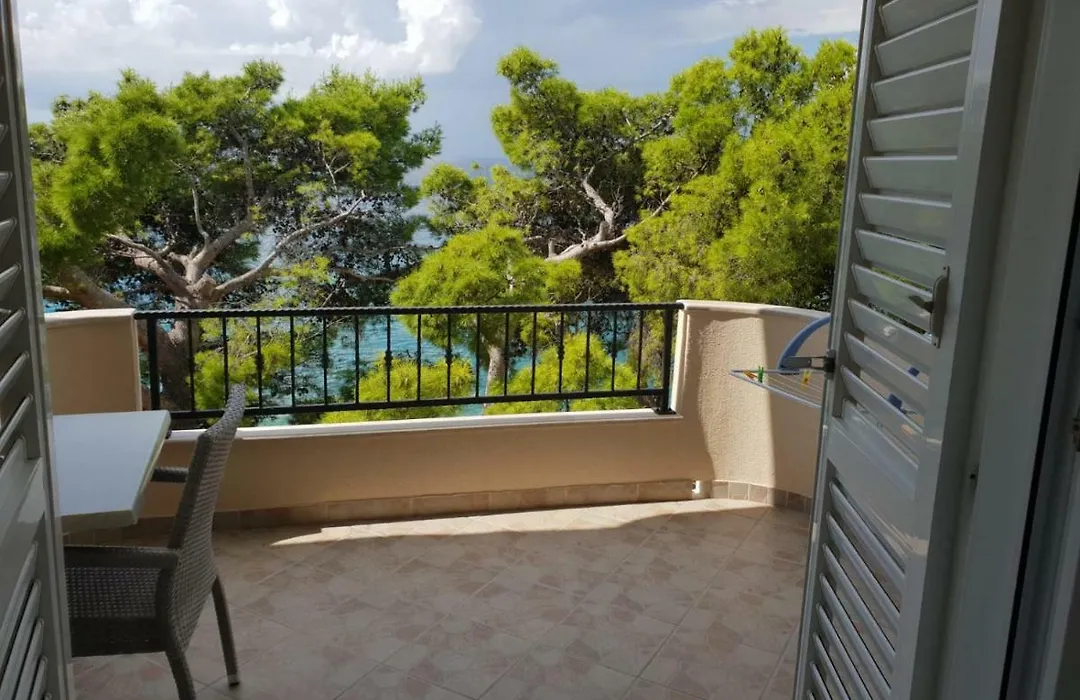 Guesthouse Marina-1