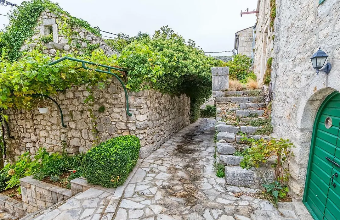 Panoramic Sea View House-1