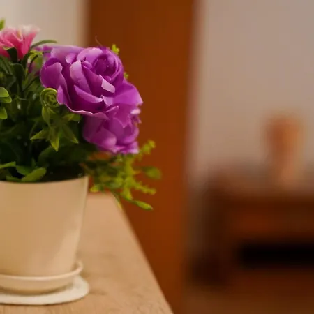 Apartment Lola-3