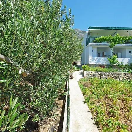 Apartmani Maslina-3