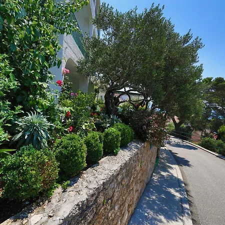 Ribicic Guesthouse-2
