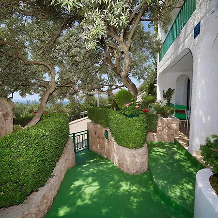 Ribicic Guesthouse-3