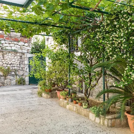 Luxury Apartment Silvana With Beautiful Garden-3