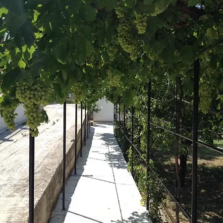 Smokvica-2