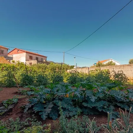 Apartments And Rooms With Parking Space Jelsa, Hvar - 4028-3