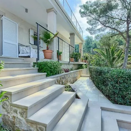 Zamy Villa-2