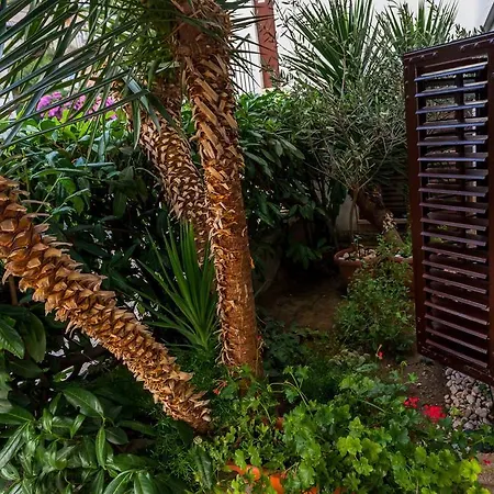 Guest House Marija In Perfect Location-3