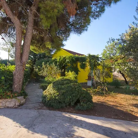 House Bojan-3