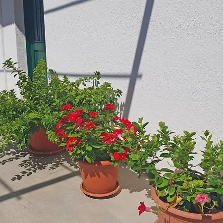 Holiday Home Gordana-3