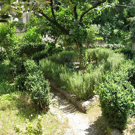 Guesthouse Vrlic-2