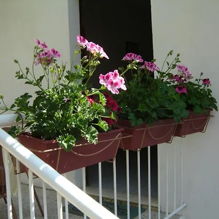 Apartmani Luna-2