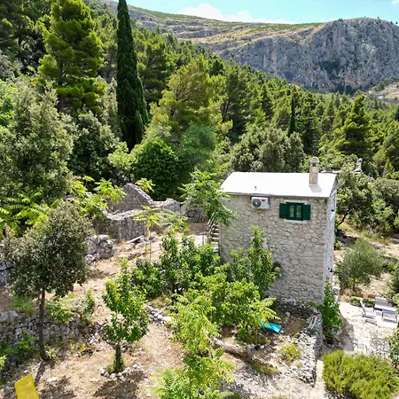 Holiday Home Dalmatinska Kuca-3