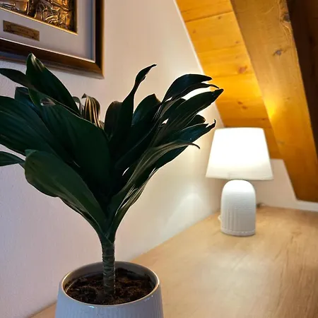 Guesthouse Kresic-2