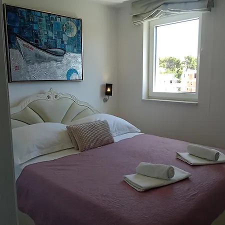 Luxury Apartment Alexandar-2