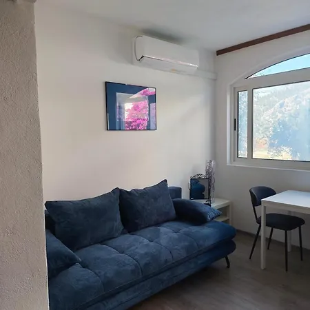 Apartments Milka-3