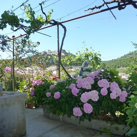 Guesthouse Bracanovic-2