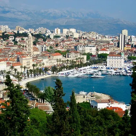 Center Of Split-3
