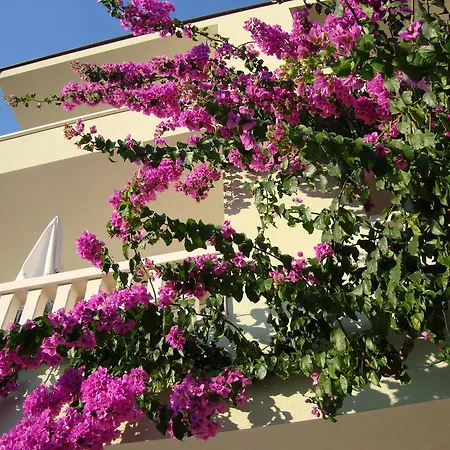 Apartments Villa Cizmic-2