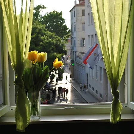 Optimist Split/City Center-2