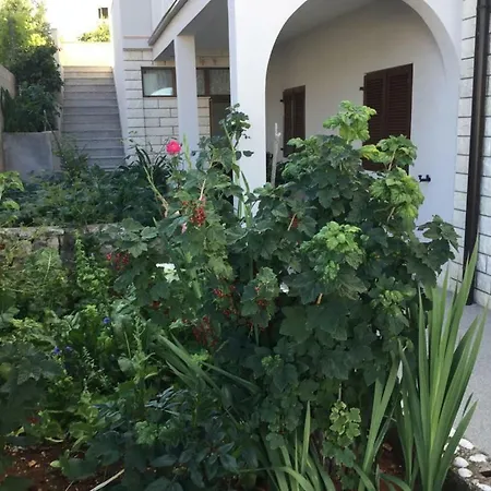 Apartmani Jerkovic-3