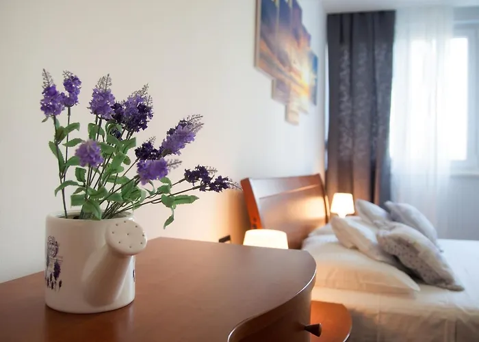 Apartment Zoi Spalato che accetta animali