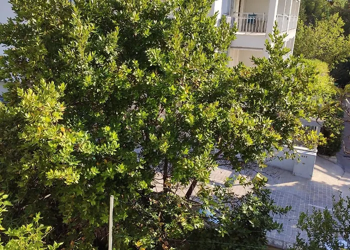 Apartments Ivo Makarska