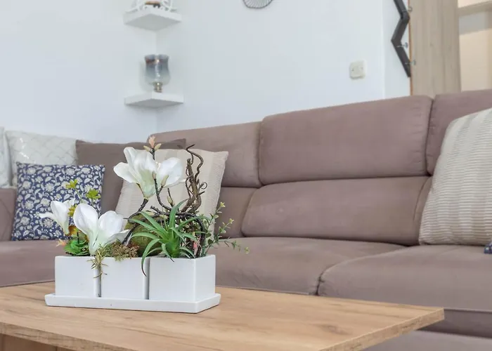 Modern City Center Apartment Hvar Island admite animales