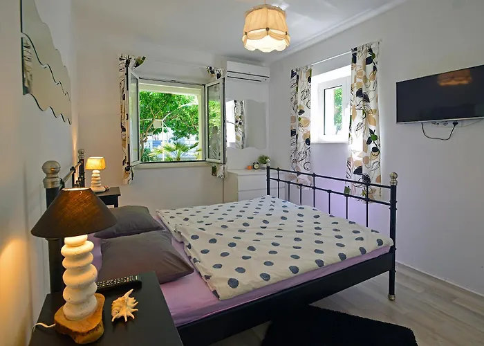 Terrace Apartment Hvar Town que aceita animais de estimação