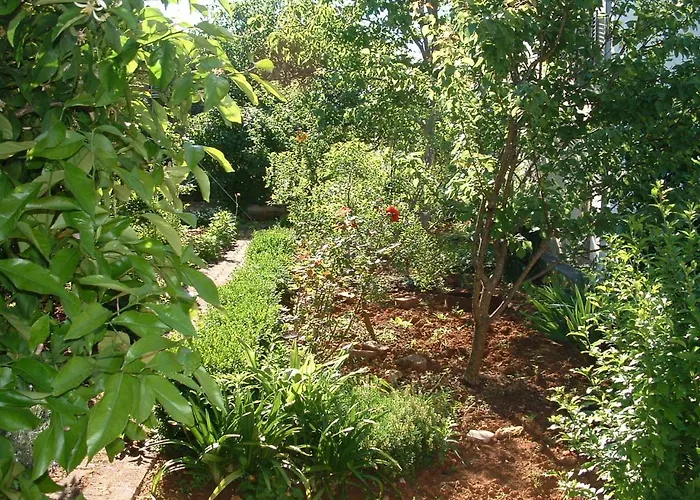 Apartments Runac Stari Grad 