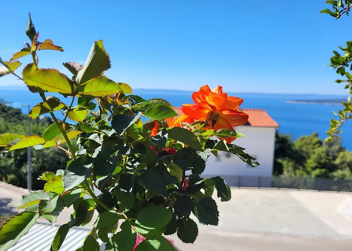 Apartments Kricak Brela