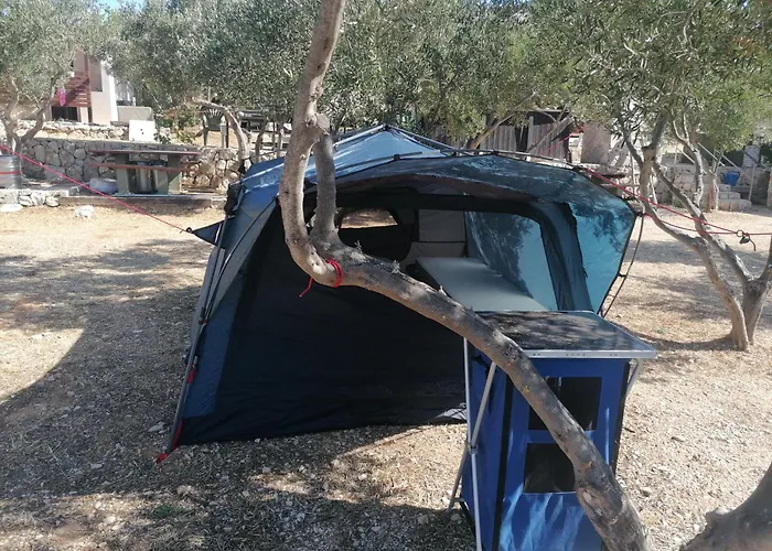 Hotel Camp Kopito Hvar Town admite animales